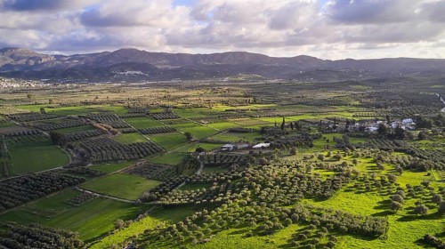 Messara Plain