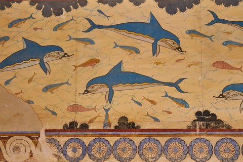 Dolphins
