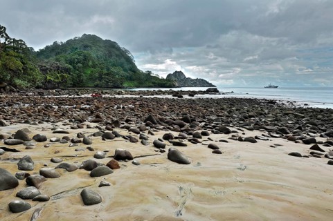 Rocky beach and jungle