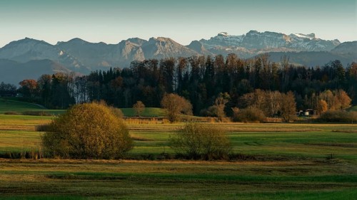 Autumn landscape in the evening light