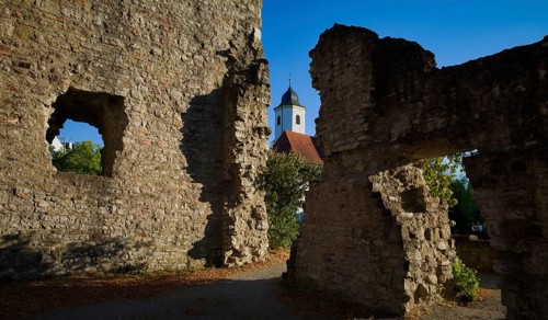 Gate and kennel of the castle ruins of Hofen Castle