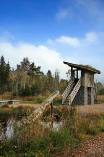 The Werdensteiner moss is a moor in the Allgaeu. Immenstadt im Allgaeu