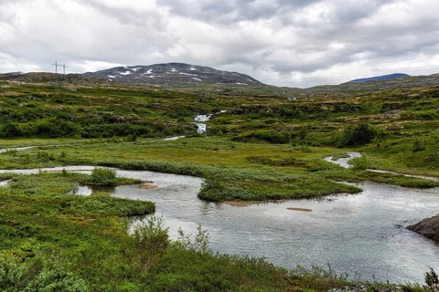 Fjell landscape