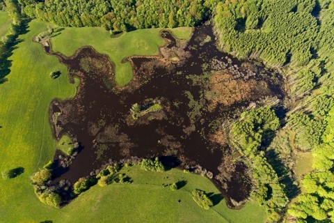 Feldberger Seenlandschaft