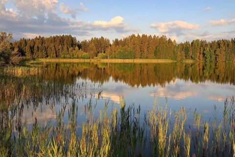Hergatsried Lake