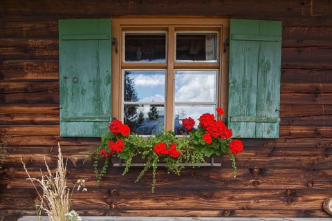 Geraniums at the window of a mountain hut