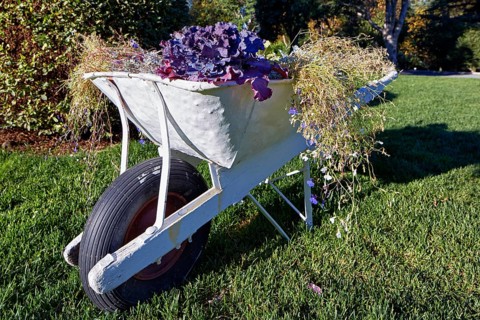 Wheelbarrow with flowers
