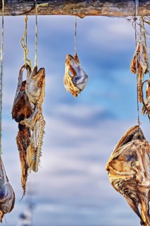 Dried fish