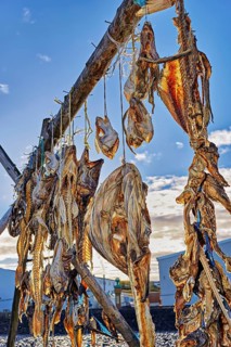 Dried fish
