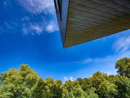 Leuphana University