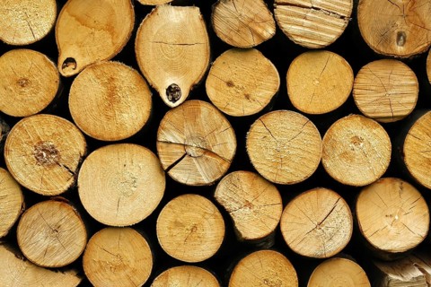 Firewood logs dried and stacked ready for the stove