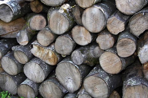 Firewood logs dried and stacked ready for the stove