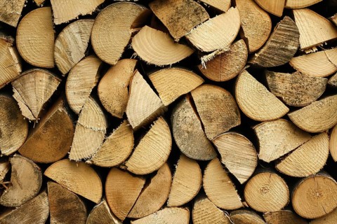 Firewood logs ready for the stove