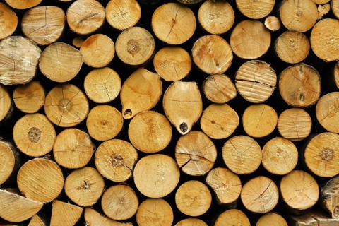 Firewood logs dried and stacked ready for the stove