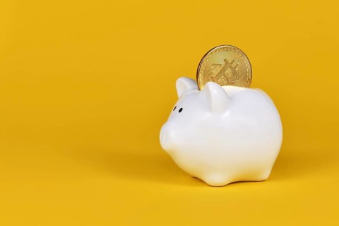 Crypto currency bitcoin in white piggy bank on yellow background