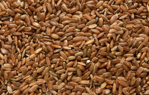 Rice