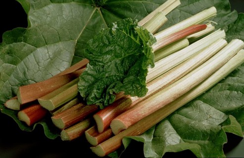 Rhubarb