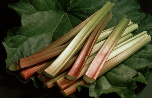 Rhubarb