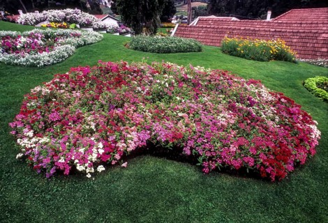 The Government Botanical garden in Udhagamandalam Ooty