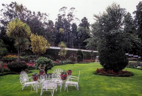 House garden in Udhagamandalam Ooty