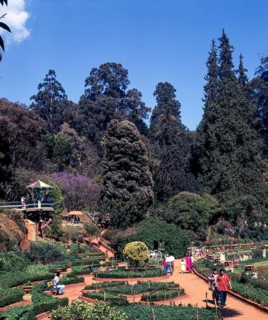 Government Botanical garden in Udhagamandalam Ooty