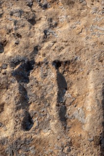 Fooprints of Moses on rock in Somatar in Sanliurfa