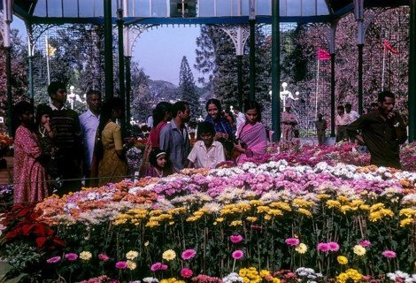 Flower show in glass house at Lal Bagh botanical gardens in Bengaluru Bangalore