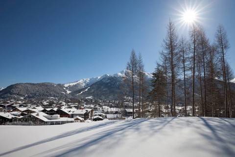 Winter landscape