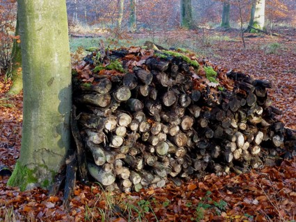 Maulbronn