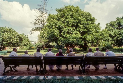 People sitting relaxed in Lal Bagh garden