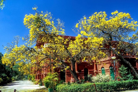 Venkatappa Art Gallery