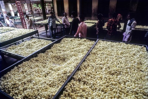 Government Cocoon Market at Ramanagaram