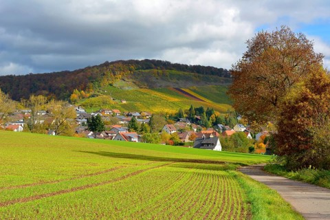 BW. Schuetzingen