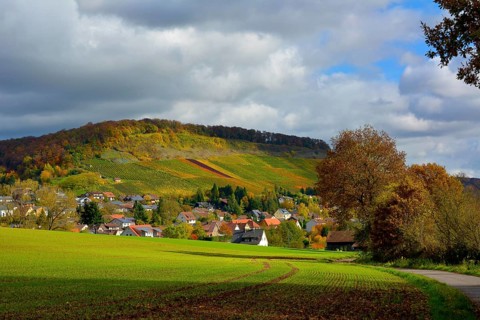 BW. Schuetzingen