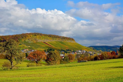 BW. Schuetzingen