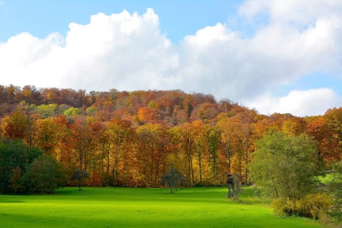BW. Schuetzingen
