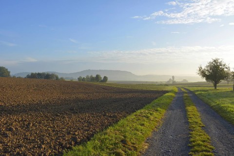 D-BW. Mood with sun near Schmie-Maulbronn