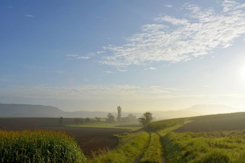 D-BW. Mood with sun near Schmie-Maulbronn