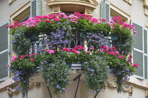 France