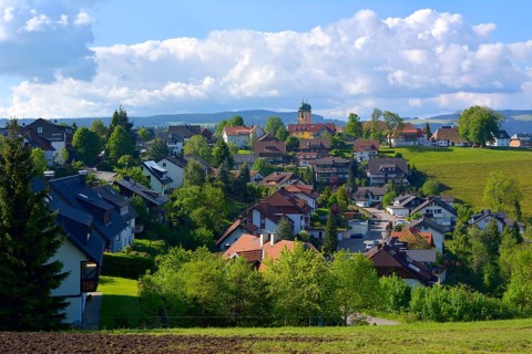 Black Forest