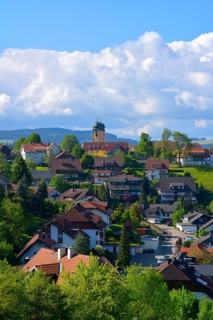 Black Forest