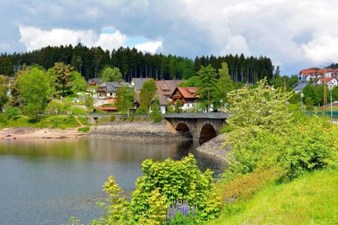 Black Forest