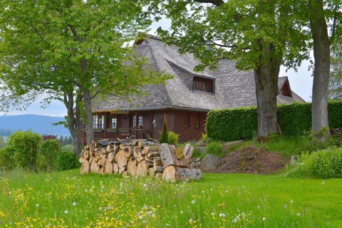 Black Forest