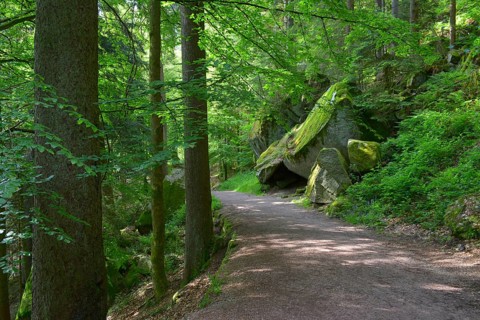 Black Forest