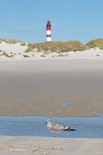 Kniepsand beach