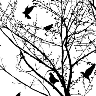 Background illustration with pigeons silhouettes in the trees