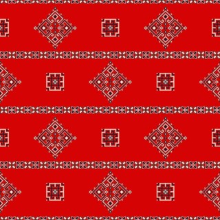 Romanian vector pattern inspired from traditional embroidery