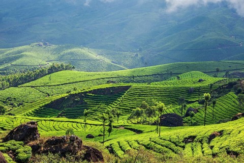 Kerala India travel background