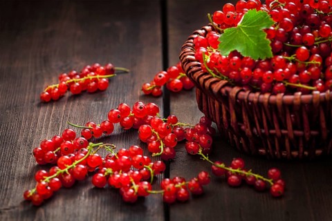 Redcurrant red currant berries in wicker bowl on kitchen table