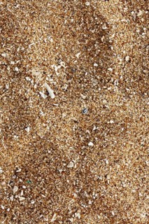 Beach sand of grinded sea shells